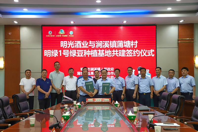 明光酒业举办绿豆基地共建签约仪式